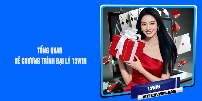 Tổng Quan Về Chương Trình Đại Lý 13Win