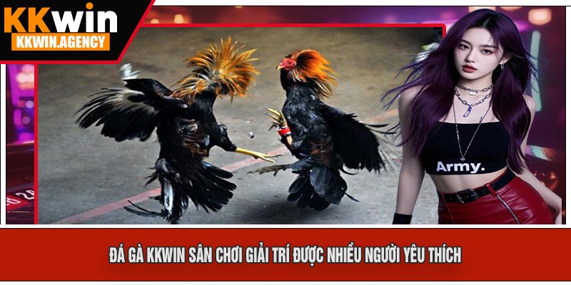 Đá Gà KKWIN Sân Chơi Giải Trí Được Nhiều Người Yêu Thích