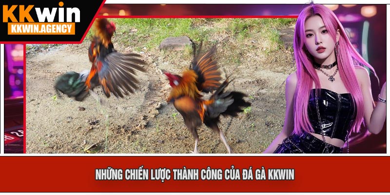 Những Chiến Lược Thành Công Của Đá Gà KKWIN